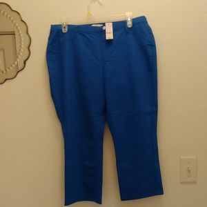 New York & Company Capris